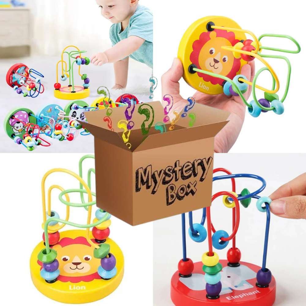Montessori Mystery box