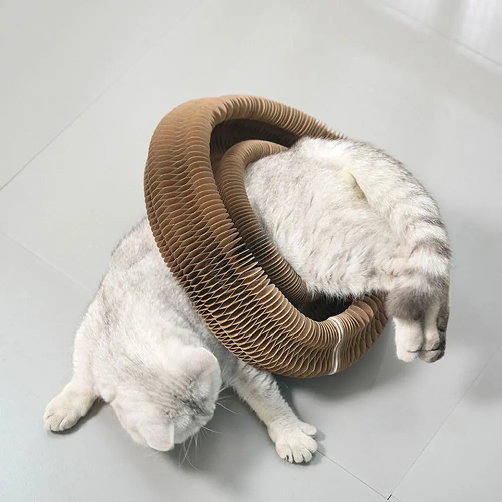 Cat scratch toy