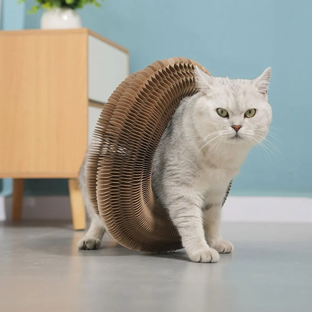 Cat scratch toy